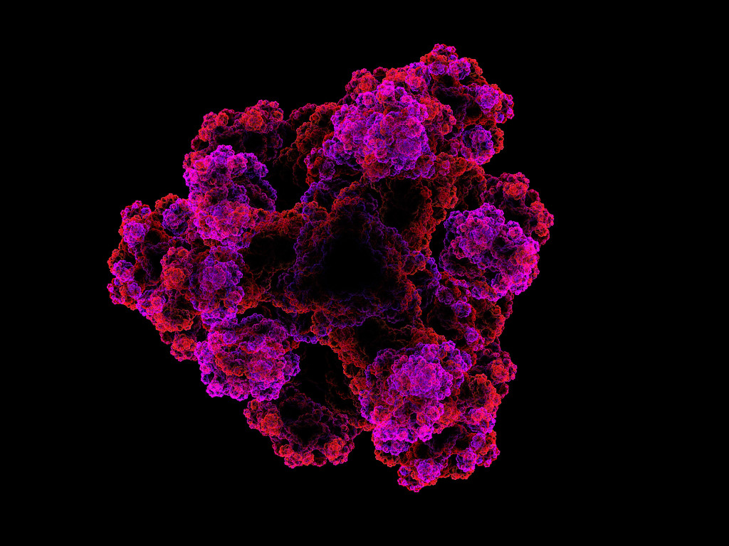 protein structure